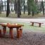 Pallbord Natur träbord och bänkar på lekplats i skogsmiljö