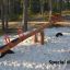Gungbräda Seesaw Nature i sandlåda, skogsbakgrund.