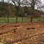 Naturlekplats med Balansramp Natur och svingar, omgiven av höstlöv i en park.
