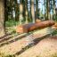 Balansstock Natur i skogen