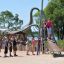 Boys and girls plays on Silver Cableway