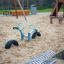 Seesaw Gungbräda på lekplats med sand.