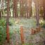 Stolphopp Natur (5 st) utegym i skogen