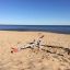 Gungbräda ET på en sandstrand vid havet.