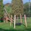 Trägunga för lekplats, Fågelbogunga Natur Robinia Spindeln.
