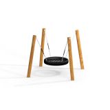 Fågelbogunga Natur Robinia Spindeln